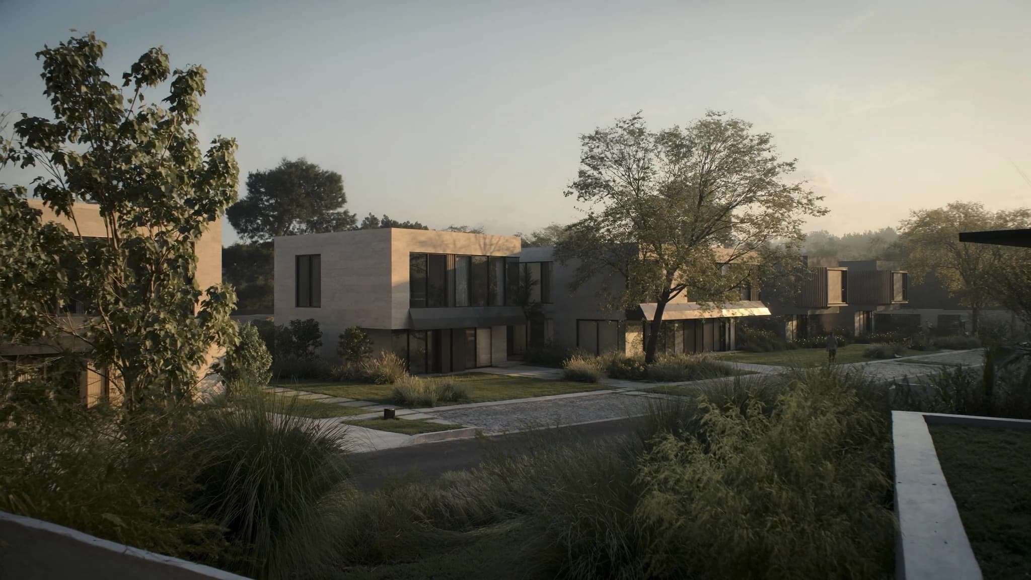 The Scribeo Homes development at first light: low limestone and timber volumes set among mature trees, ornamental grasses and a stone pathway curving between them.