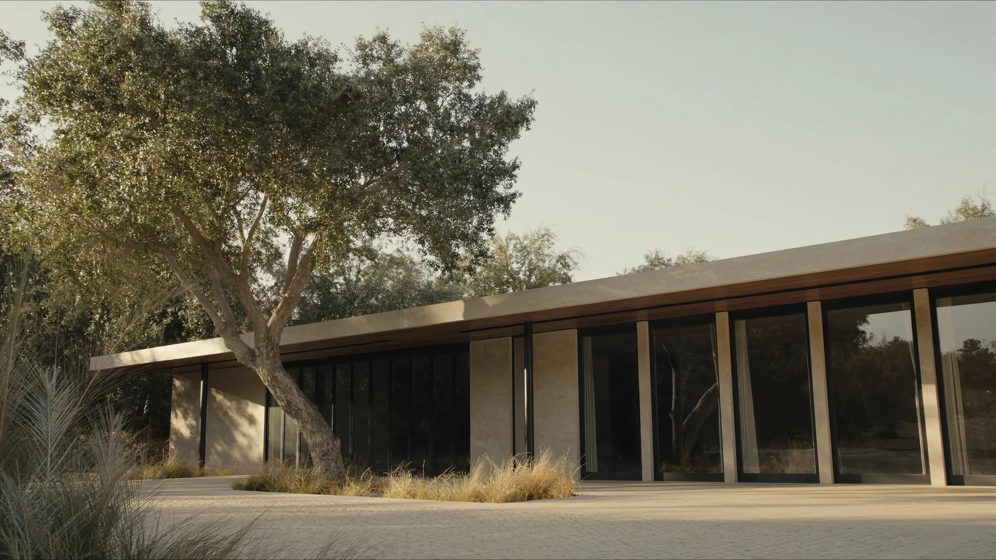 The residents' clubhouse: a low limestone pavilion with a deep shaded colonnade and full-height glazing, an olive tree at the forecourt.